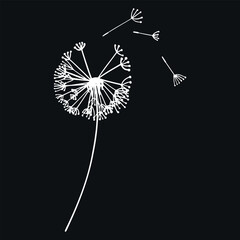 Abstract black and white dandelion, flying dandelion seeds. Vector graphics. The design of the postcard.