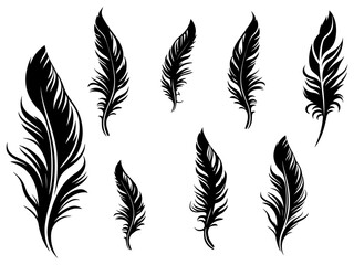 Set of detailed majestic feather collection. Bird Feather black silhouettes. Plumelet collection. Vector isolated on white