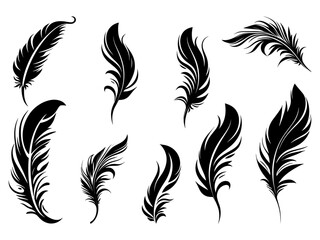Obraz premium Set of detailed majestic feather collection. Bird Feather black silhouettes. Plumelet collection. Vector isolated on white