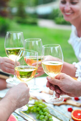 People toasting wineglasses on picnic