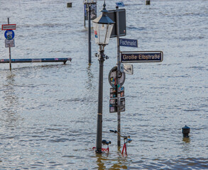 Sturmflut und Elbe Hochwasser am Hamburger Hafen St. Pauli Fischmarkt Fischauktionshalle - 713106201