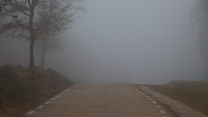 carretera con niebla, conducir con niebla, niebla en la Nou, nube baja, berguedá, fondo de...