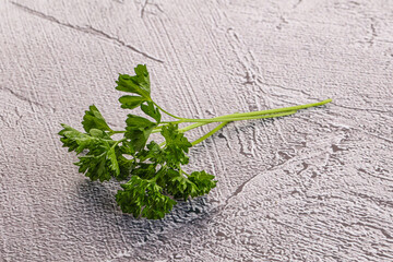 Green parsley leaves heap isolated