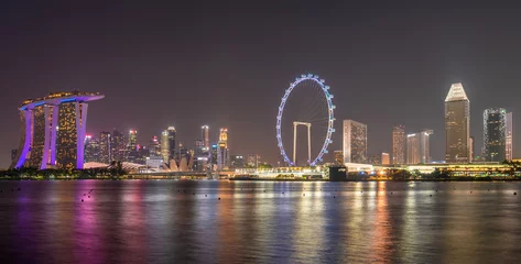 Foto auf Acrylglas Helix-Brücke Tourists in the city park of singapore at night, landscape marina bay in Singapore city.