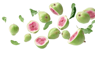 guava fruit on isolated