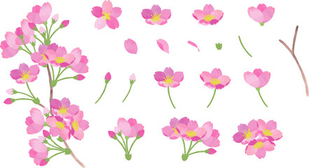 Obraz na płótnie Canvas 桜のパーツセット2