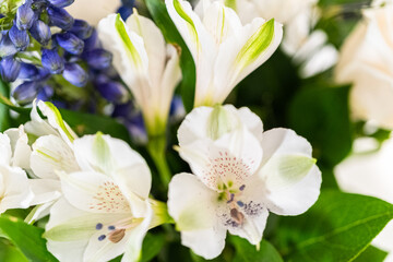 Obraz premium Elegant White Rose Bouquet Adorns a Beautiful Vase