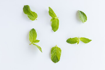 top view of fresh green basil leaves on white background. isolate.