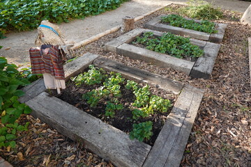 beds with railway sleepers to grow strawberries with bird scarecrow