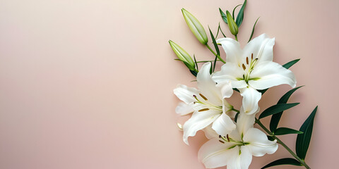 bouquet of white flowers | Lily Bouquet  background with copy space | Isolated of a Mesmerizing...