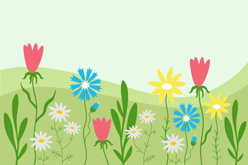 Floral background card hand drawn cartoon banner landscape field with blooming wildflowers, daisies, cornflowers, plants, grass flat vector illustration green motif. Template floret design backdrop - obrazy, fototapety, plakaty