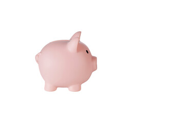 Piggy bank pig on isolated white background close up