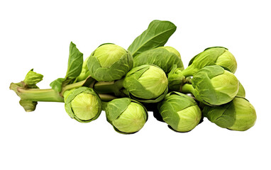 Delicious Brussels Sprouts on Transparent background