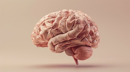 Human brain anatomy intelligence mind neutral background soft tones beige brown 3d illustration render digital rendering - obrazy, fototapety, plakaty