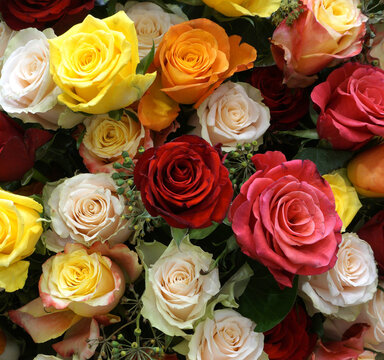 Flowers wall background with amazing pink, purple red, yellow, and white roses flowers, hand made mix rose flower wall, flower background. Colorful flowers mix. Pattern of flowers. NO AI