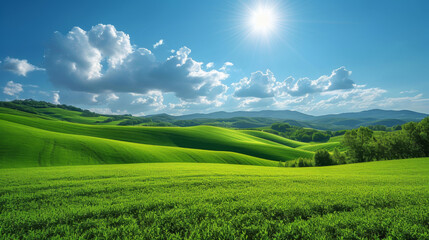 Fototapeta premium Champs vert à perte de vue idéal fond pour site internet