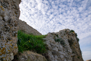 rock in the mountains