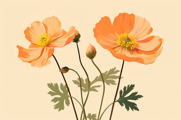 Fototapeta premium Floral Beauty in Bloom: A Red Poppy Blossom in a Green Field, an Illustration of Nature's Exquisite Design on a Pink Seasonal Background.