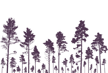 Coniferous forest, silhouette of pine trees, beautiful landscape. Vector illustration - obrazy, fototapety, plakaty