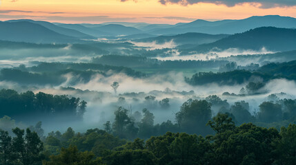 Misty Morning Over Forested Valley