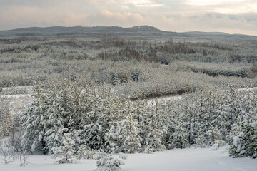 Zimowa panorama doliny w Bukownie