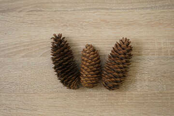 Pinecones on the table