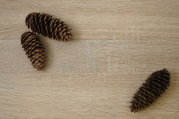 Pinecones on the table