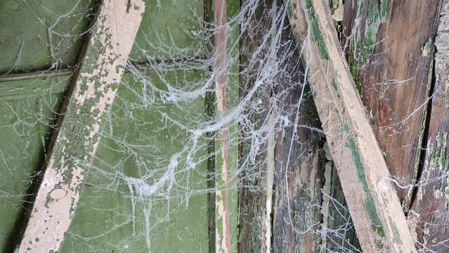 Frozen cobwebs from the wooden ceiling of a barn, shed or rural toilet