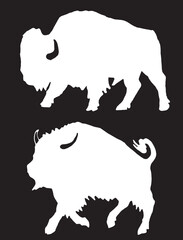 Vector hand-drawn set of bisons on black , graphical illustration	