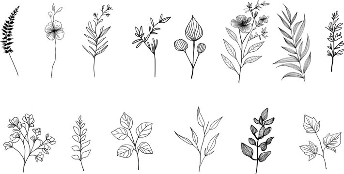set of flowers hands drawn . Botanical collection. 