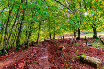 Camins del GR11 🇵🇱 Baztán