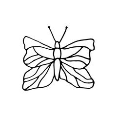 Butterfly, insect. Doodle. Vector illustration. Hand drawn. Outline.