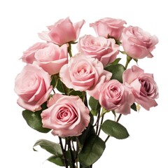 Pink rose flowers in a floral arrangement isolated on white or transparent background	
