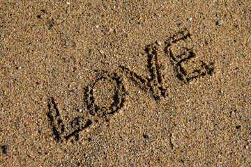 Sands of Love: Seaside Affection