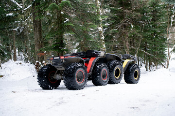 Quad bikes are lined up on a snowy terrain amidst a thick pine forest, giving the impression of a...