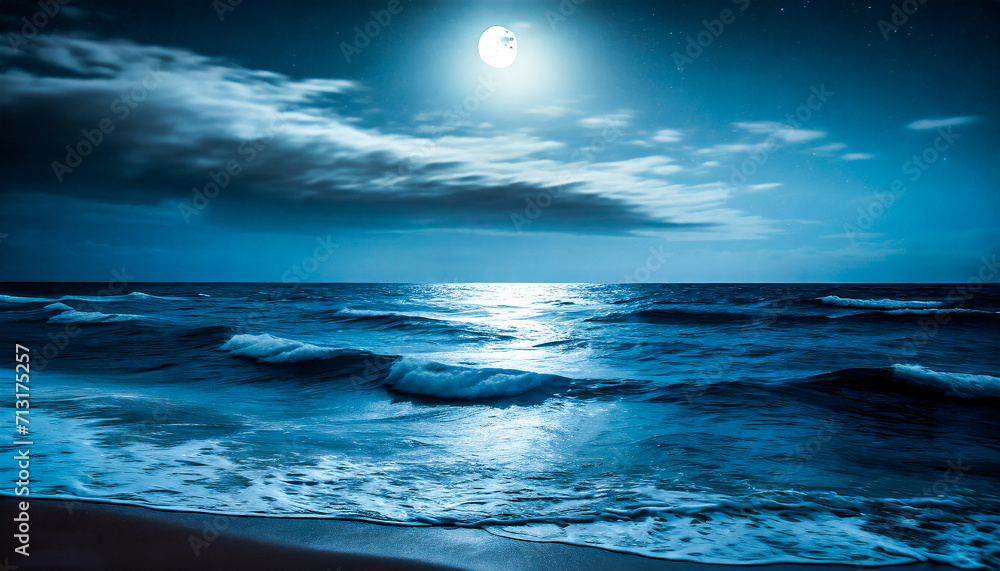 Wall mural oceanic nocturne: a tranquil night on the deep blue sea under the moonlight - Wall murals