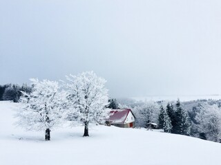 Lonely cabin in the mountains surrounded by forest covered in snow