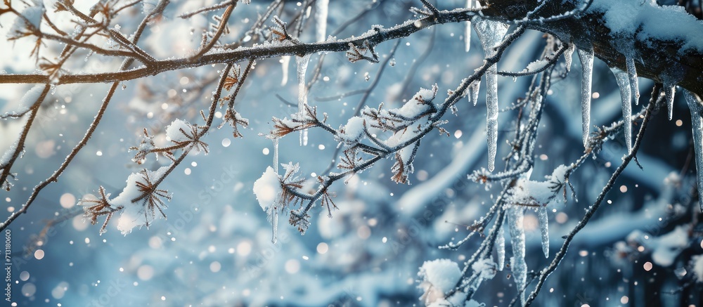 Poster frosted tree branches covered with ice and icicles on snowy background. copy space image. place for 