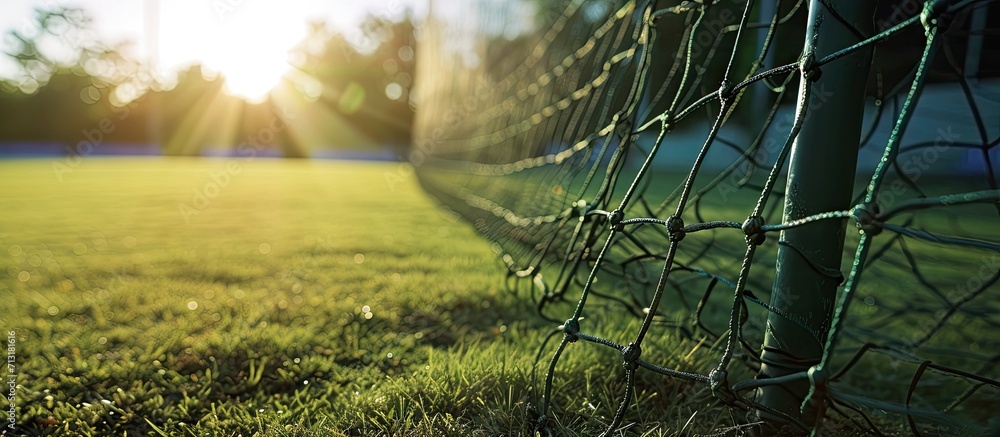 Poster a close up view of a grass practice cricket nets. copy space image. place for adding text