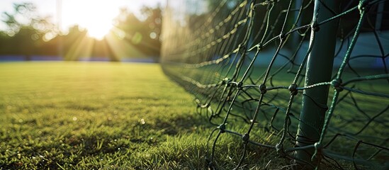 A close up view of a grass practice cricket nets. Copy space image. Place for adding text - Powered by Adobe