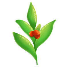 red rose isolated on white