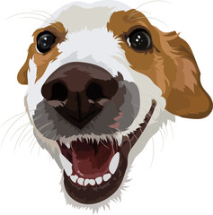 Jack Russell terrier close-up portrait of a dog. Vector illustration