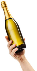 Delicious sparkling wine degustation. Cropped image of male hand holding bottle of champagne against transparent background. Concept of alcohol, drink, party, degustation, holiday. © Lustre Art Group 