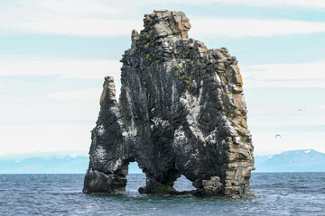Hvitserkur-Felsen im Meer in Island im Sommer