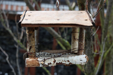 Handmade Bird Feeder in Winter , close up