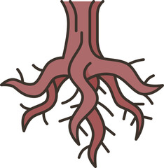 Fototapeta premium root icon