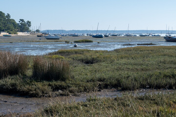 View on Arcachon Bay at low tide with many fisherman's boats and oysters farms, Cap Ferret...