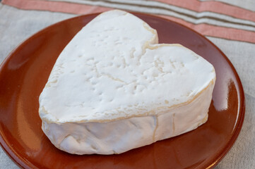 Cheese collection, French cheese from Normandy region, heart-shaped neufchatel close up