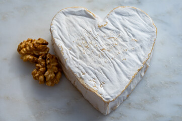Cheese collection, French cheese from Normandy region, heart-shaped neufchatel close up