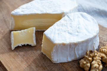 Cheese collection, French cheese from Normandy region, heart-shaped neufchatel close up